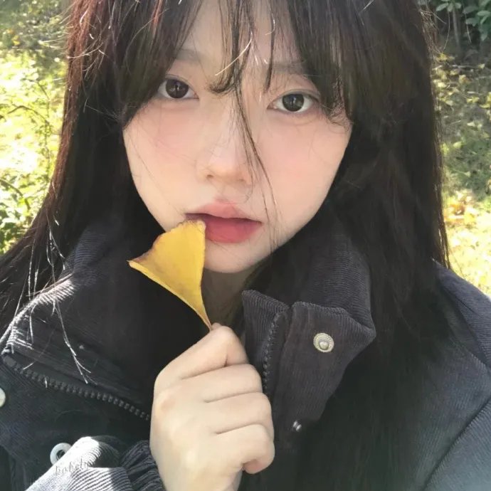 人生闹剧